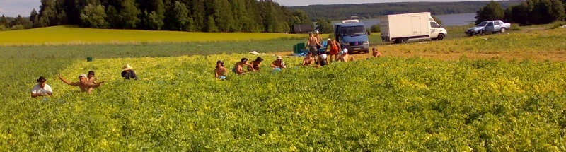 Banneri Carousel Kuva