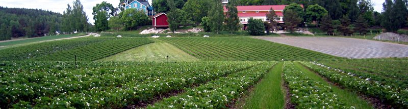 Banneri Carousel Kuva