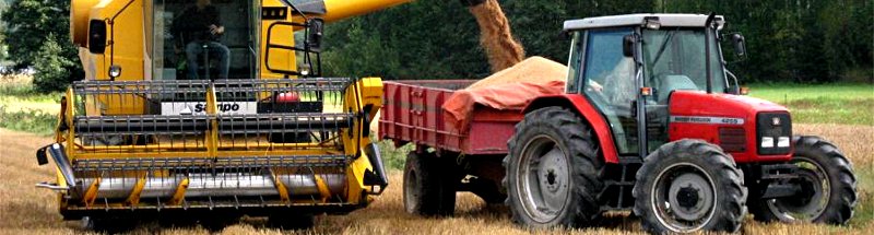 Banneri Carousel Kuva